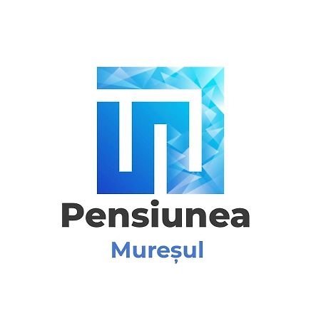 Pensiunea Muresul Târgu-Mureş 外观 照片